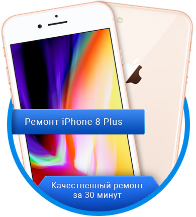 Ремонт iPhone 8 Plus (Айфон) в Калининграде